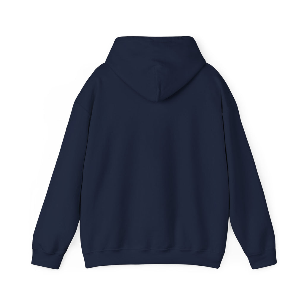 Christmas Ornament Holiday Hoodie